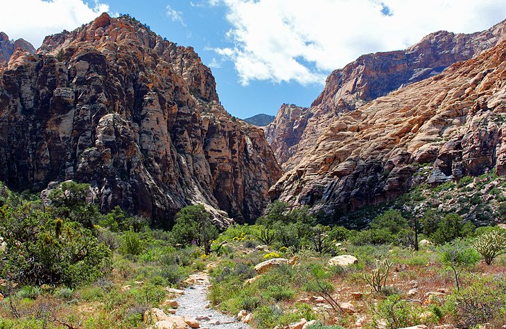 Ice Box Canyon, Red Rock Canyon National Conservation Area