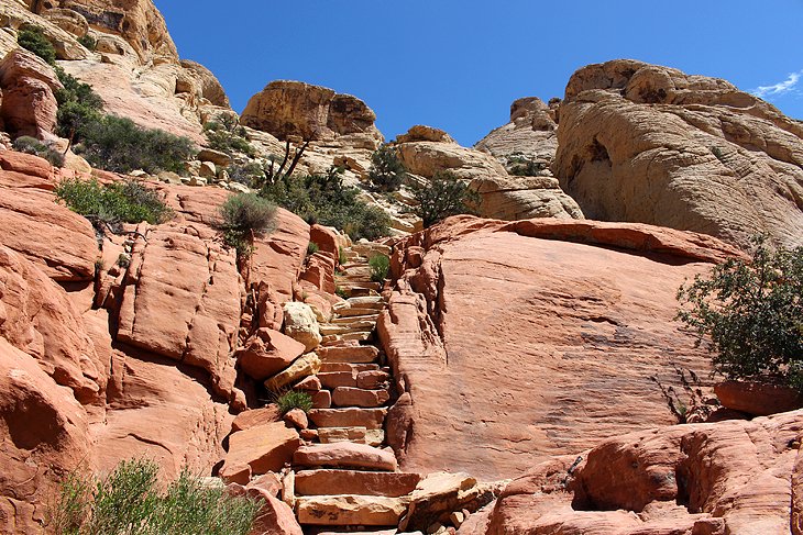9 caminatas mejor calificadas en el área de conservación nacional de Red Rock Canyon