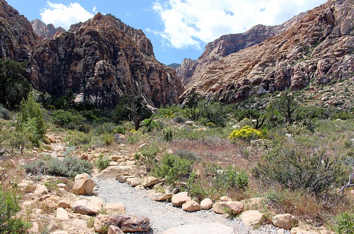 9 caminatas mejor calificadas en el área de conservación nacional de Red Rock Canyon