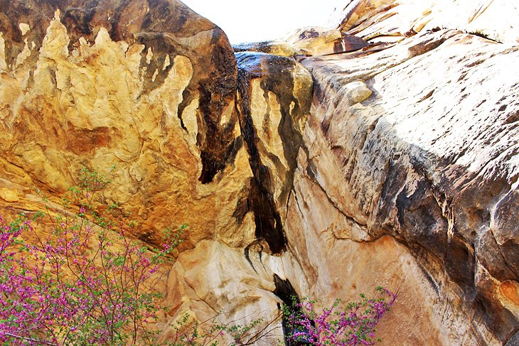 Lost Canyon - Children's Discovery Trail