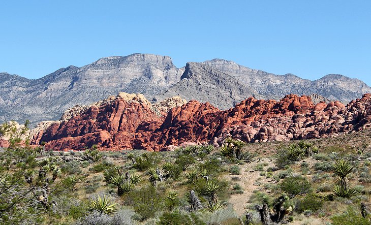 Red Rock Canyon State Park