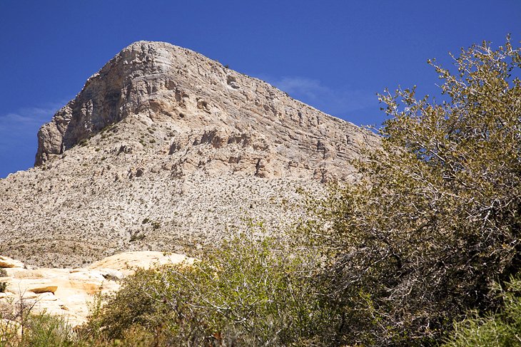 Turtlehead Peak Trail