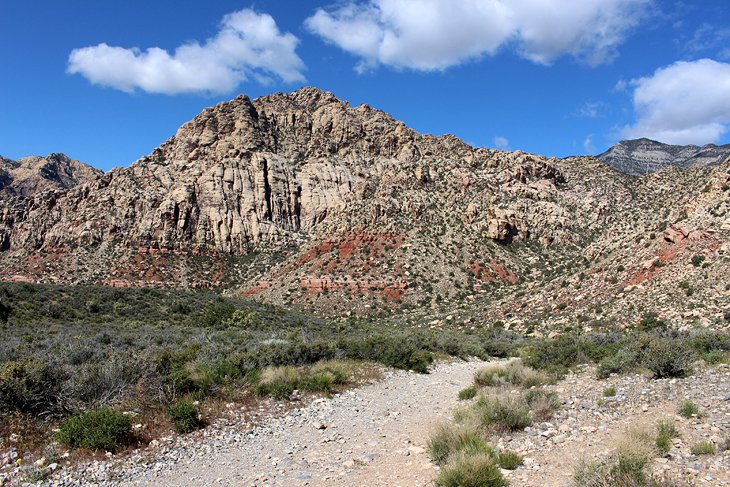 White Rock - Willow Spring Loop Trail