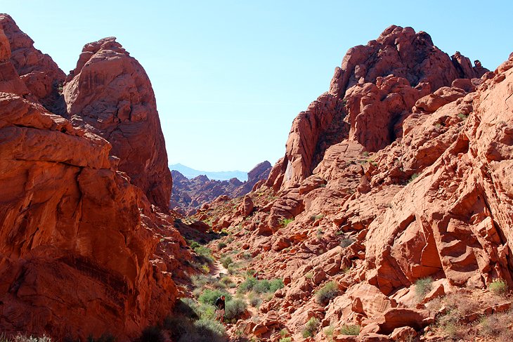 Trail to Fire Canyon Overlook