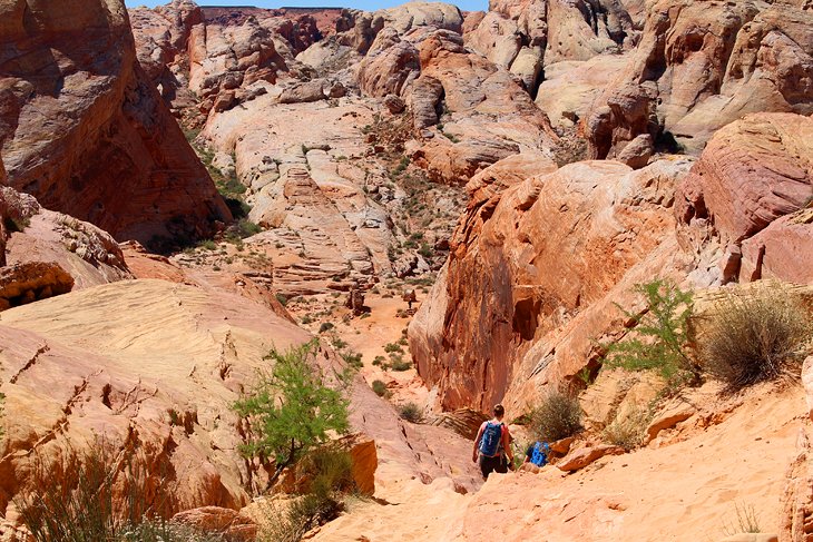 White Domes Hike