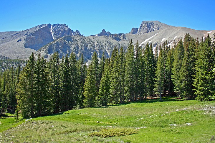 Great Basin National Park