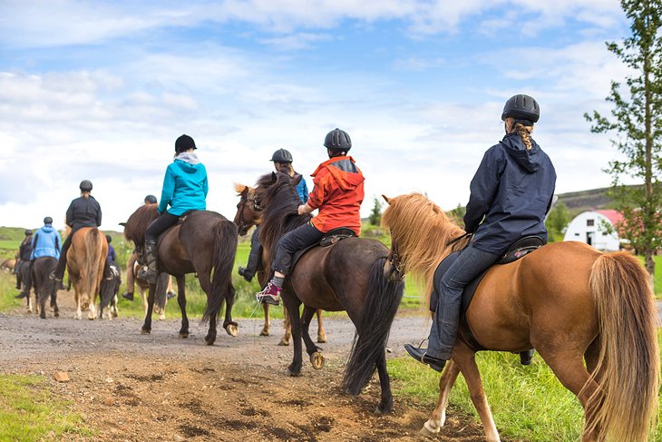 Horseback Riding