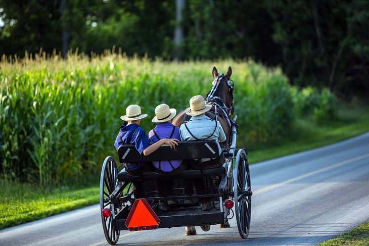 País Amish de Ohio: 12 puntos destacados y tesoros escondidos