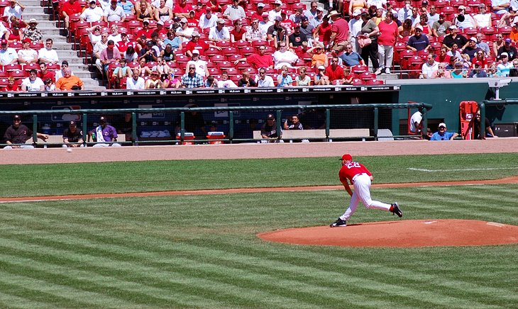 Cincinnati Reds Baseball