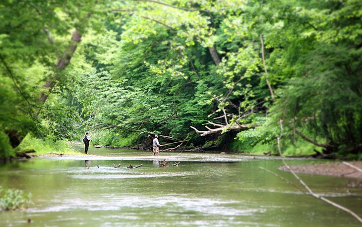 Fly fishing