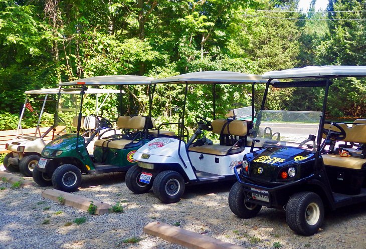 Sightseeing by golf cart