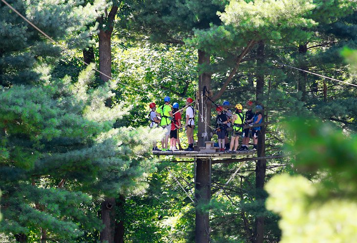 Common Ground Canopy Tours