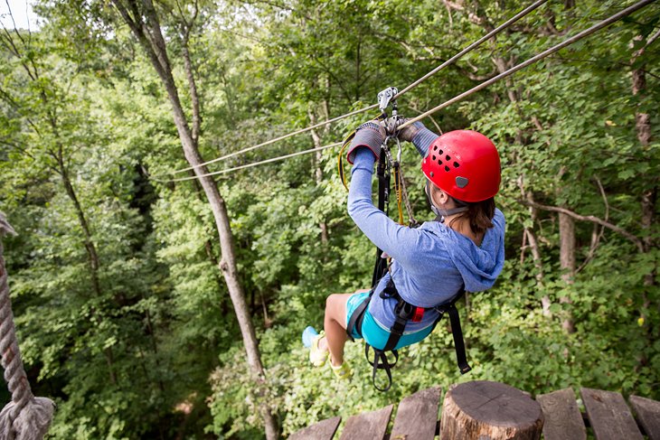 Tree Frog Canopy Tours