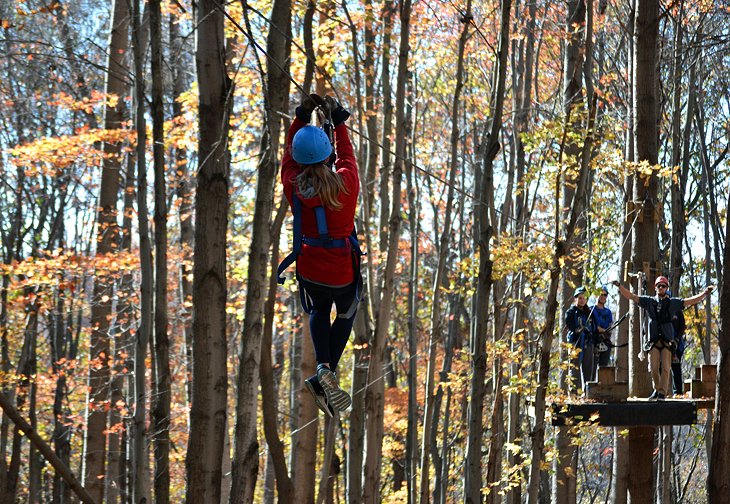 Valley Zipline Tours