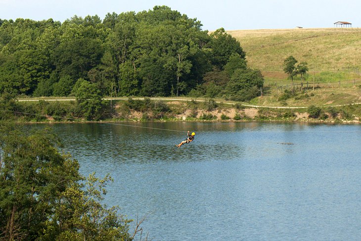 Wild Zipline Safari