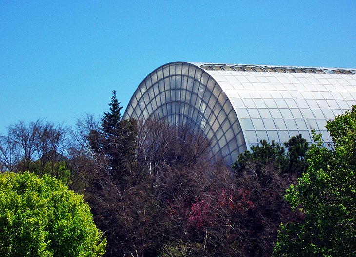 Myriad Botanical Gardens