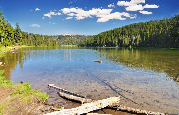 Todd Lake Trail