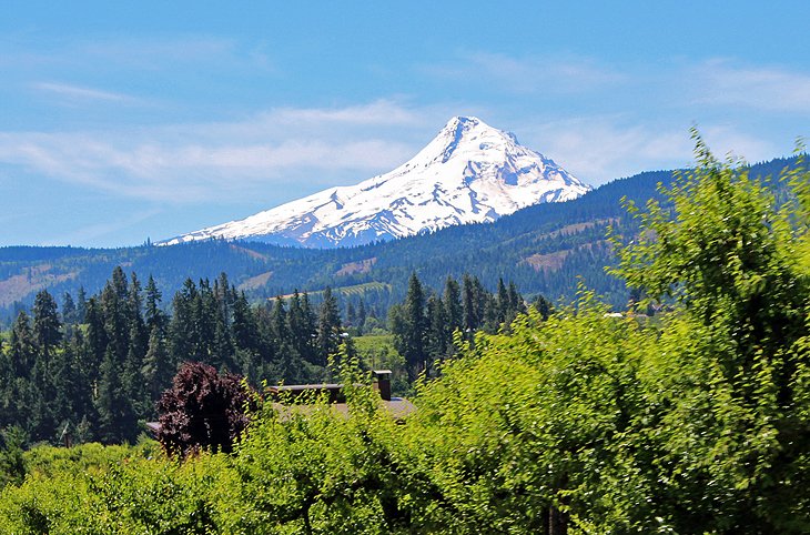 Mount Hood