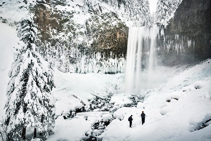 Snowshoers in Mount Hood National Forest