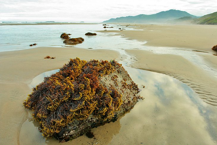 Beverly Beach State Park