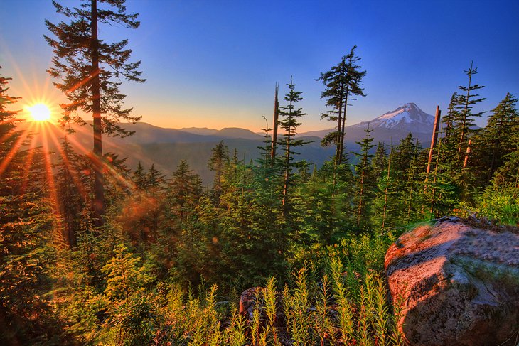 9 Top Attractions & Things to Do in Mt. Hood National Forest, OR | PlanetWare