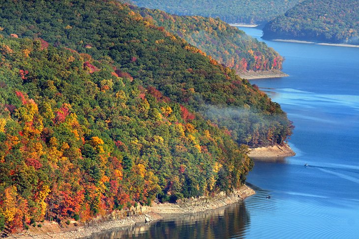 Allegheny National Forest