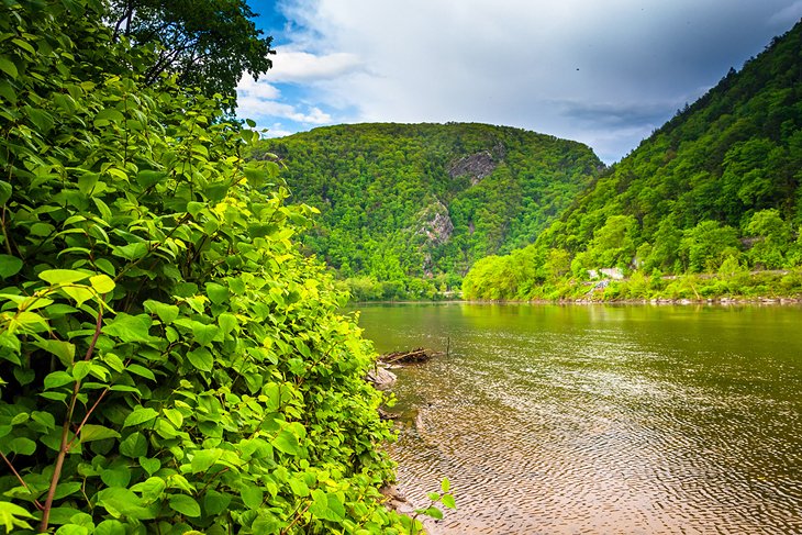 12 parques nacionales y estatales mejor calificados en Pensilvania