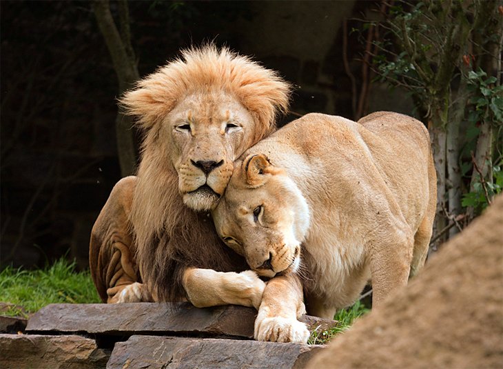 Philadelphia Zoo