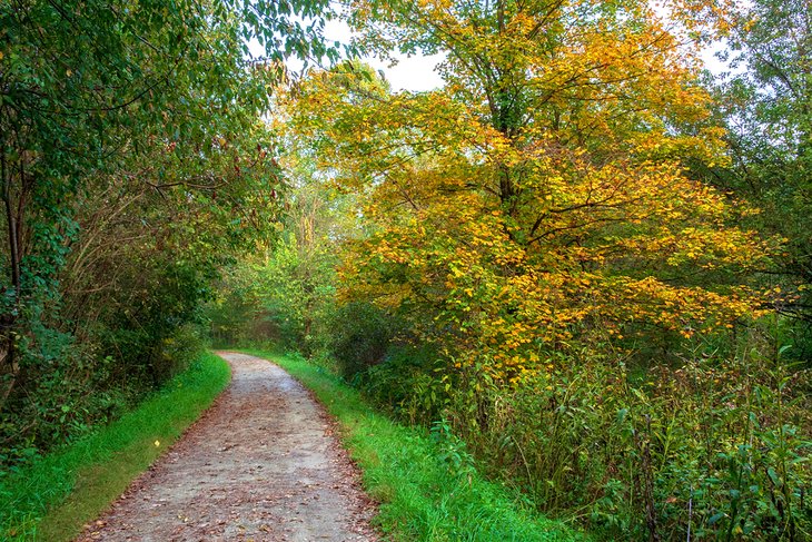 Couleurs d'automne