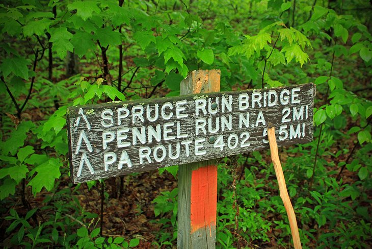 Thunder Swamp Trail System