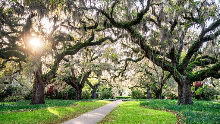 Jardins Brookgreen