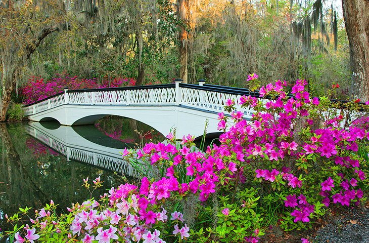 Magnolia Plantation & Gardens