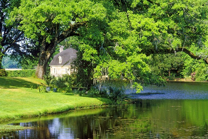 Middleton Place Plantation