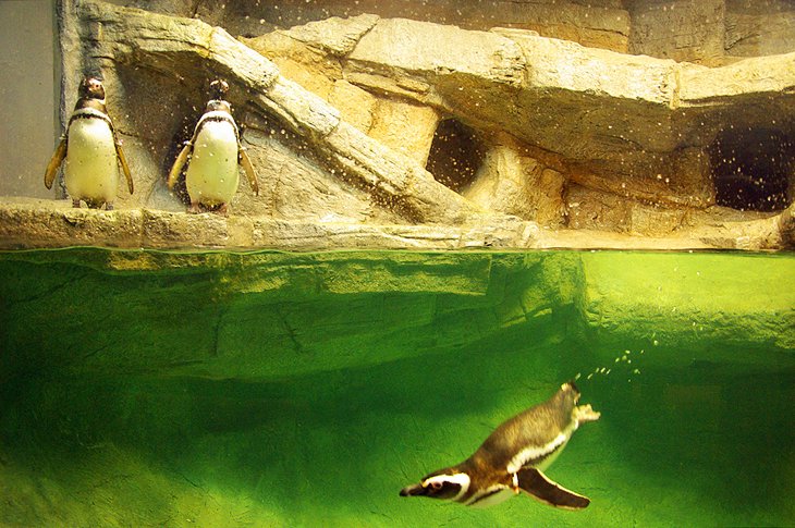 South Carolina Aquarium