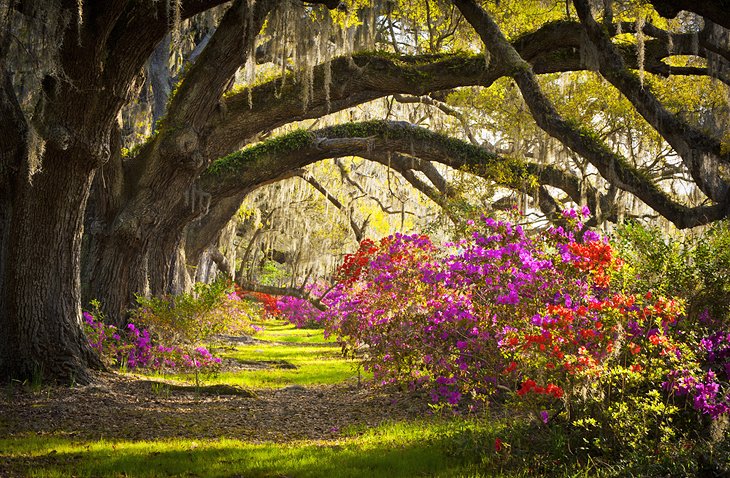 South Carolina