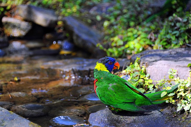 Riverbanks Zoo and Garden, Columbia