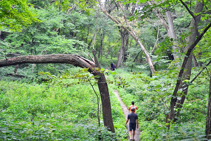 Hikers on the Woodland Trail at Newton Hills State Park