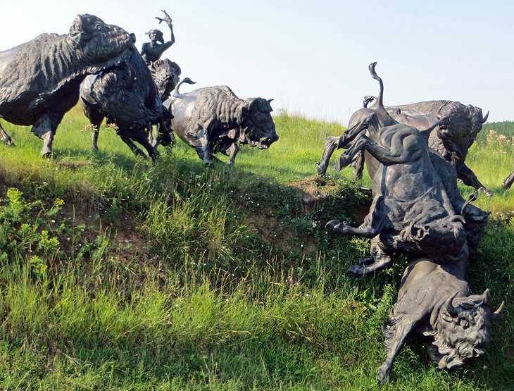 Tatanka : Histoire du bison