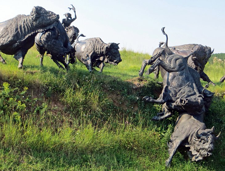 Tatanka: Story of The Bison
