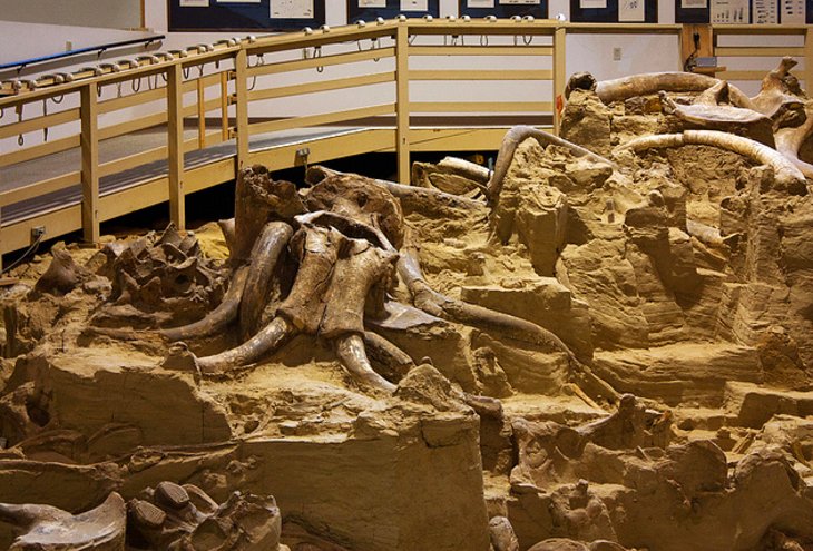 Mammoth Site