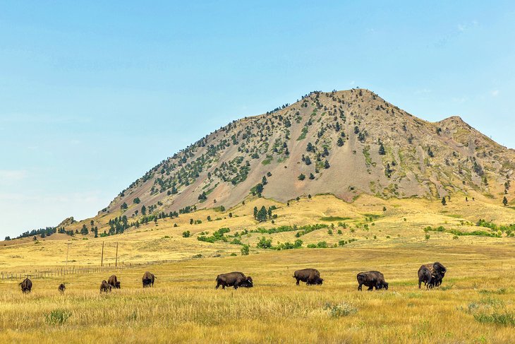 A camper overlooking the waters of Bear Butte Lake