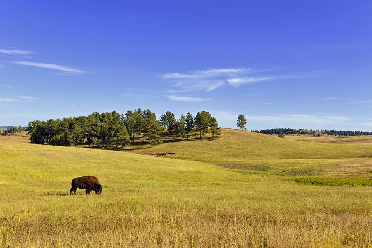 Elk Mountain Campground, Wind Cave National Park