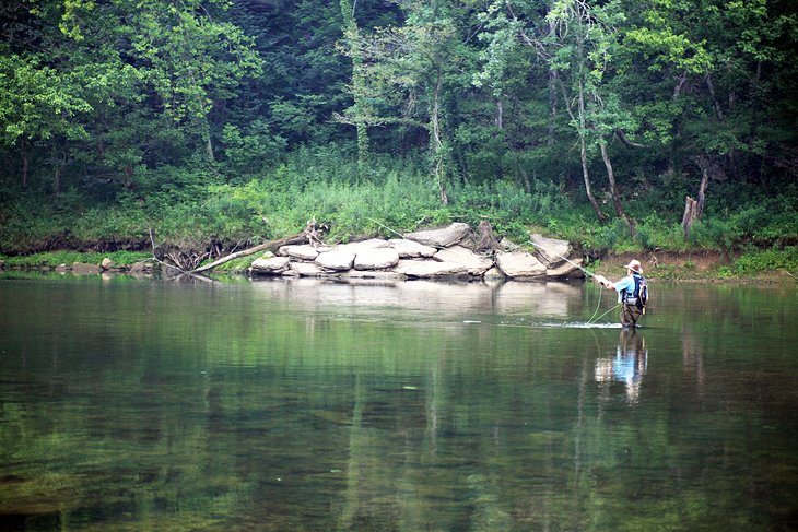 Cane Creek