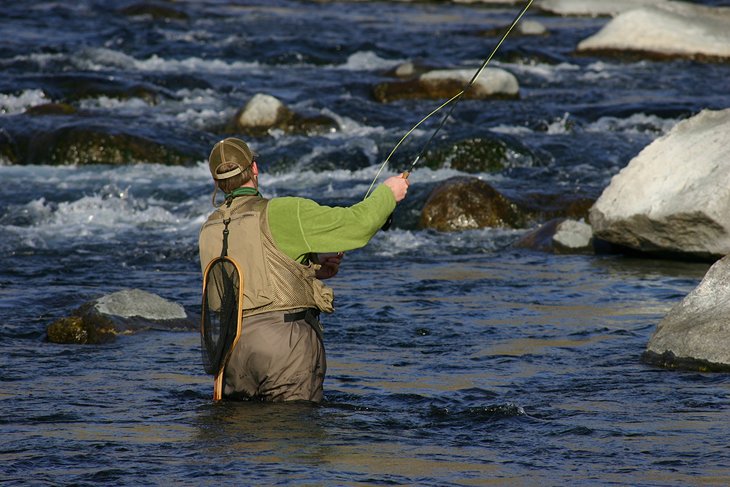 12 destinos de pesca con mosca mejor calificados en Tennessee 12 destinos de pesca con mosca mejor calificados en Tennessee