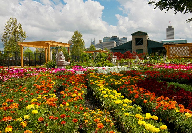 Marché fermier du centre-ville