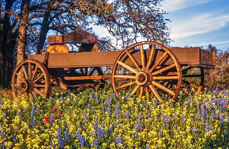 Texas Hill Country