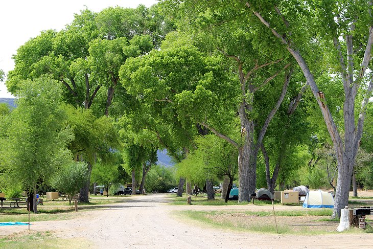 Cottonwood Campground