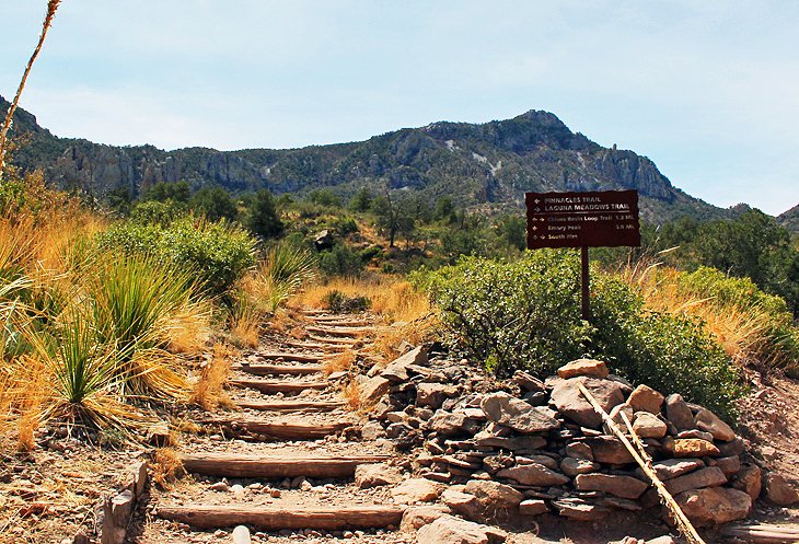 Emory Peak