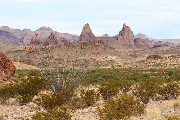 Mule Ears, Ross Maxwell Scenic Drive