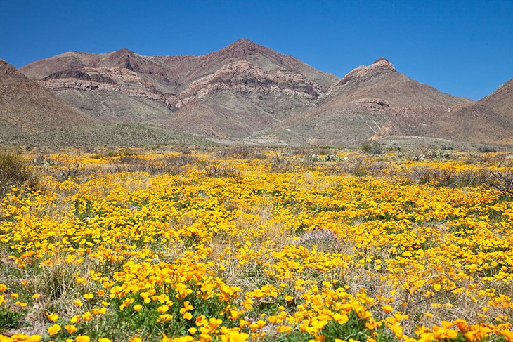 Franklin Mountains State Park